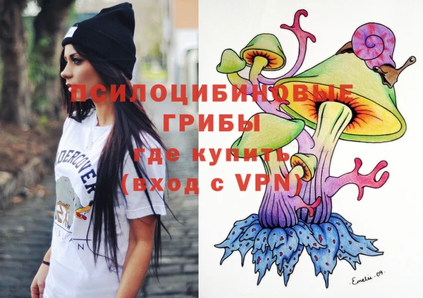 ГАЛЛЮЦИНОГЕННЫЕ ГРИБЫ Абдулино