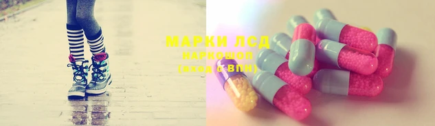 ПСИЛОЦИБИНОВЫЕ ГРИБЫ Абинск