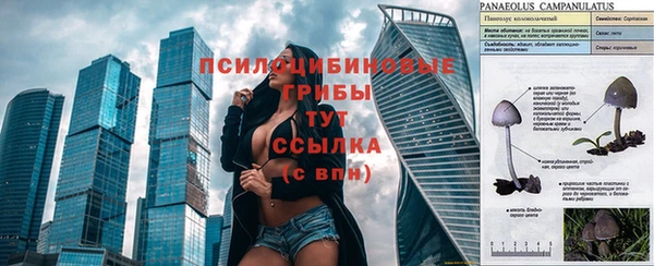 ПСИЛОЦИБИНОВЫЕ ГРИБЫ Абинск